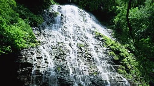 高性能可靠性